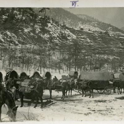 12028016285 2012c7677f C